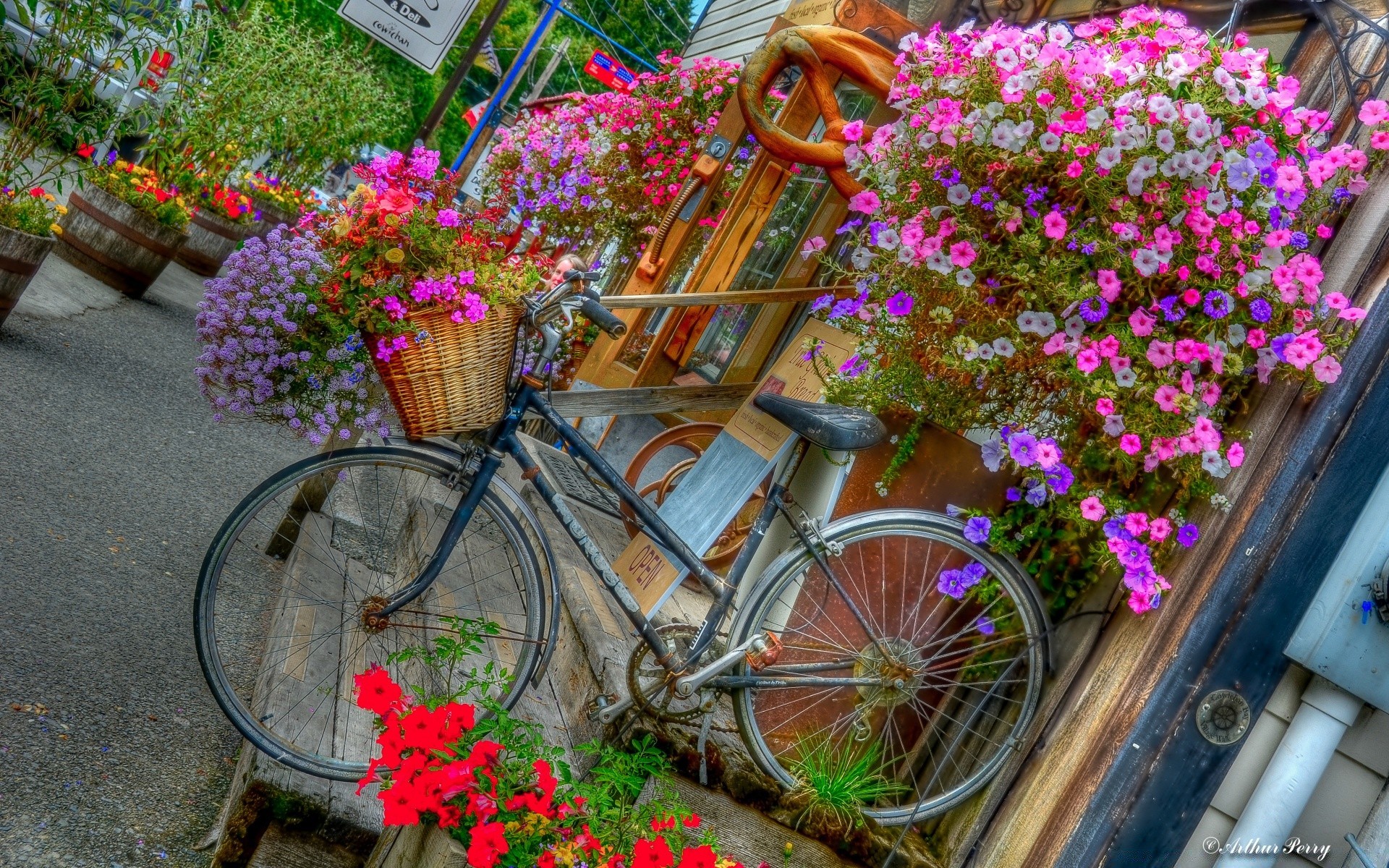 vintage çiçek bahçe flora yaz buket dekorasyon doğa çiçek çiçek açan açık havada gül