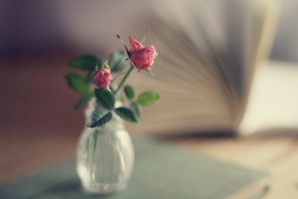 Blurred still life flower in a vase