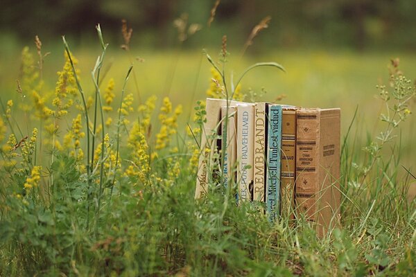 Libros viejos al aire libre