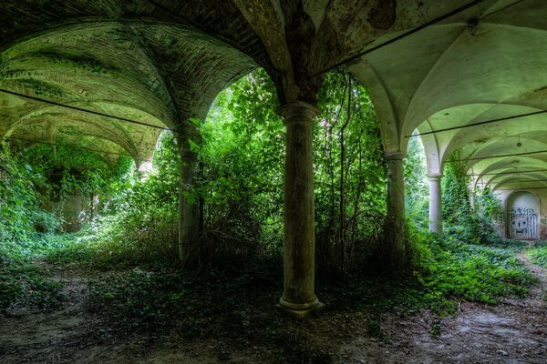 Verlassener grüner Garten mit Säulen