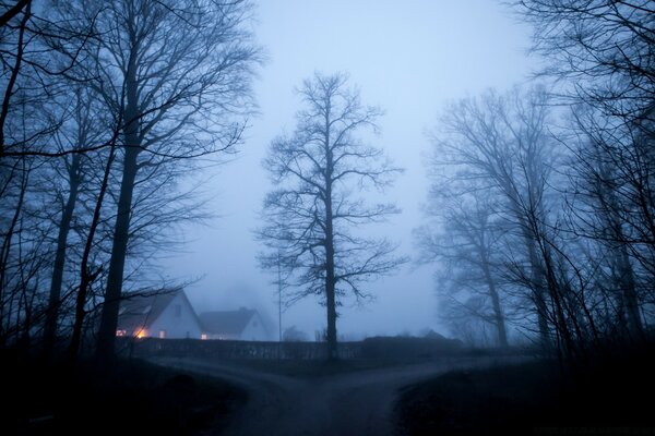 Fog in the village. Lonely House