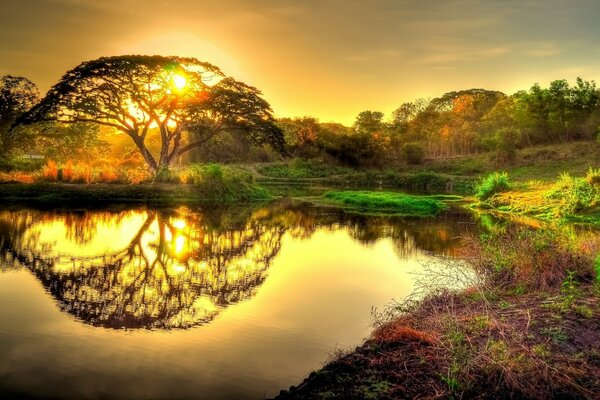 Sunset reflection in the water