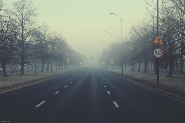 Nebel in der Stadt, grüne Ampel