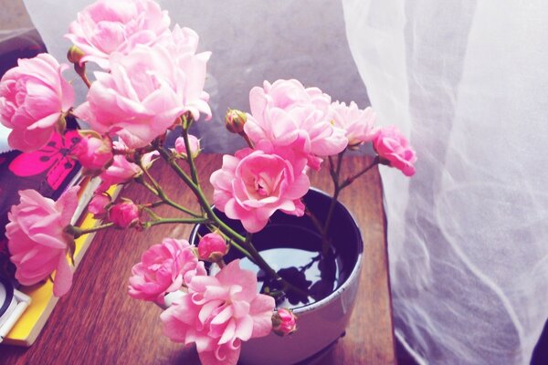 Lindas flores cor-de-rosa em um vaso