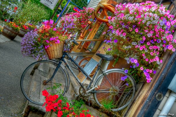 Bicycle design with fresh flowers