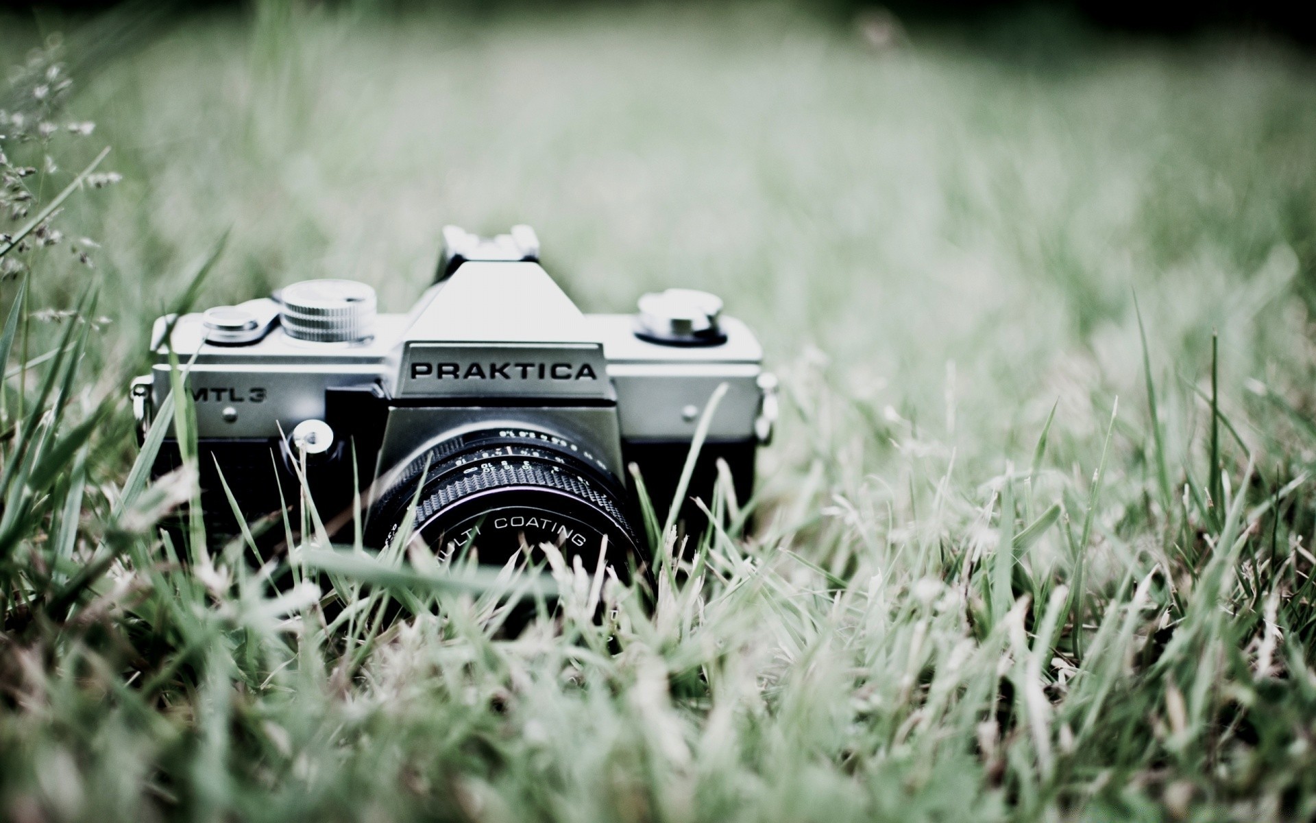 vintage grass summer field nature outdoors hayfield flower leaf sun retro fair weather focus countryside lawn