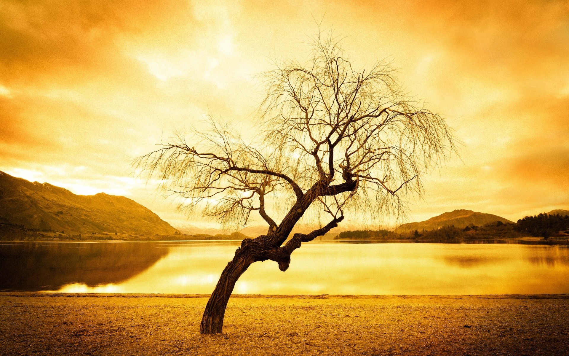 vintage sonnenuntergang dämmerung landschaft baum natur sonne abend nebel himmel dämmerung nebel silhouette holz see herbst licht hintergrundbeleuchtung