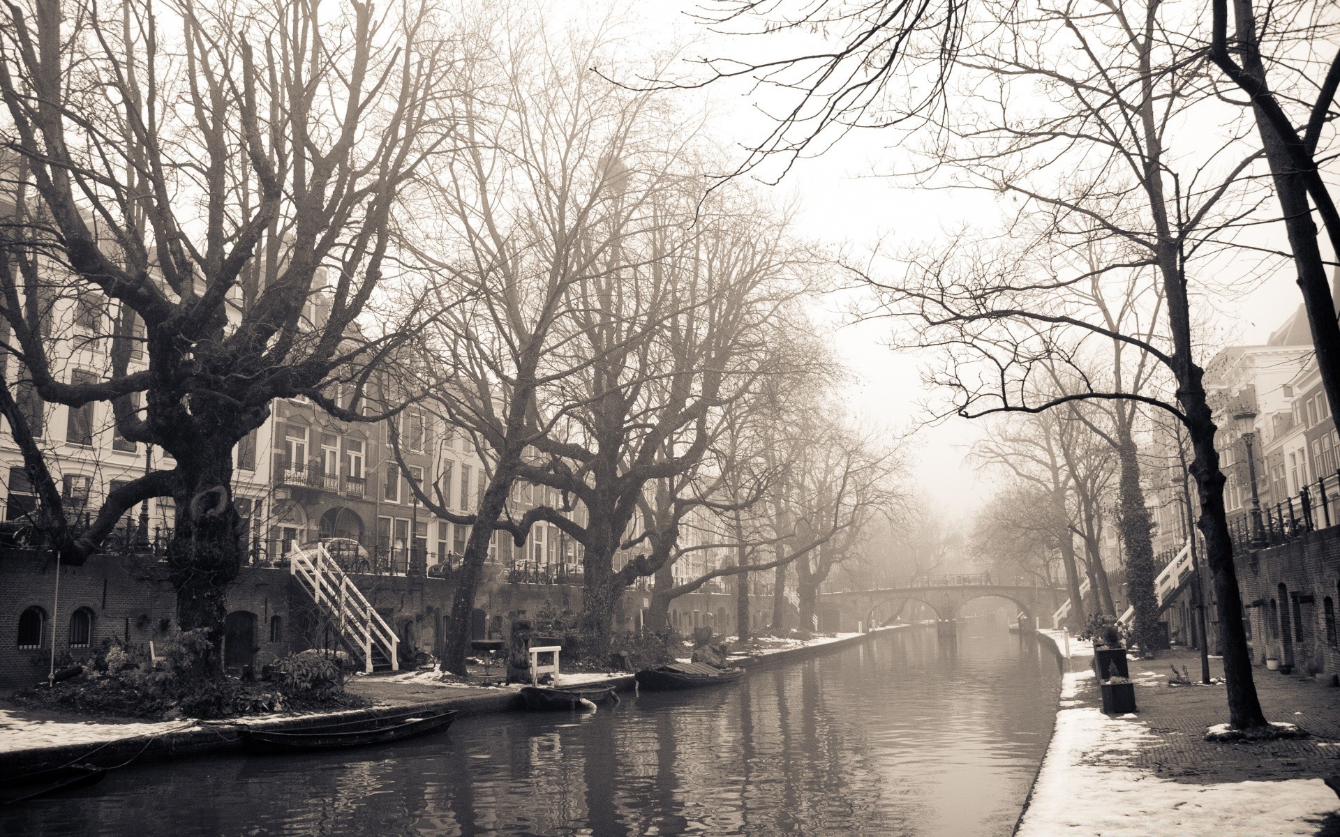 vintage madera invierno madera niebla tiempo paisaje río rama nieve frío