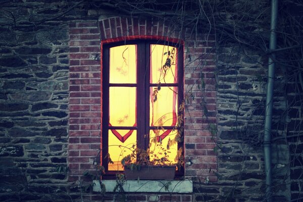 A glowing window behind curtains in an old house