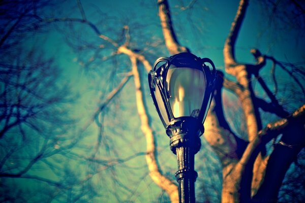 Vintage lantern on a blue sky background