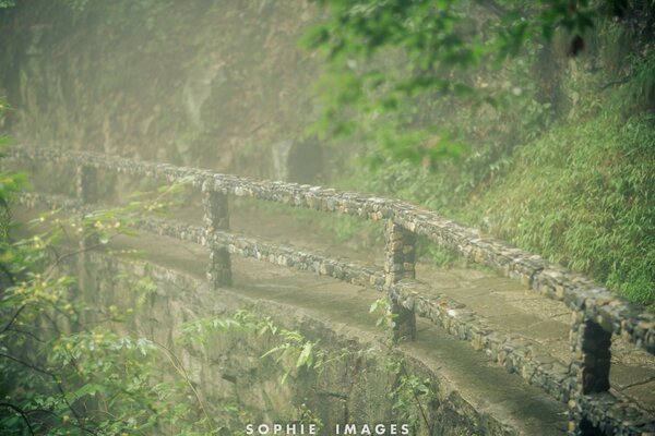 The bridge between heaven and earth, the balance of life