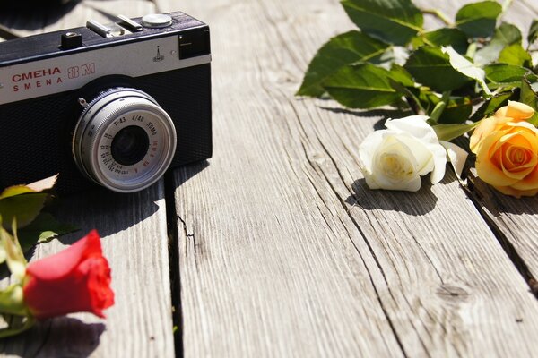 Vintage camera and roses on the table