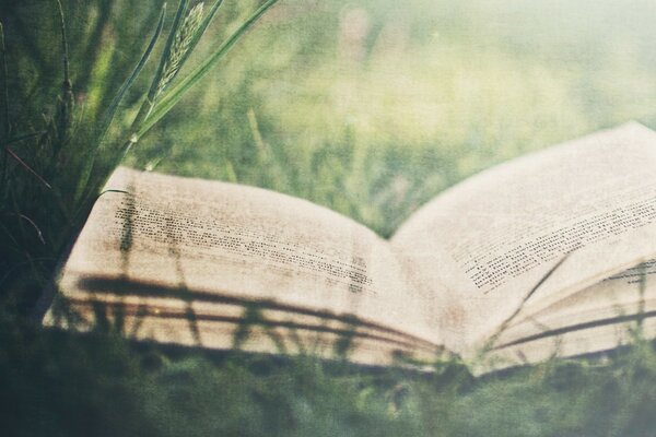 An open book on the green grass