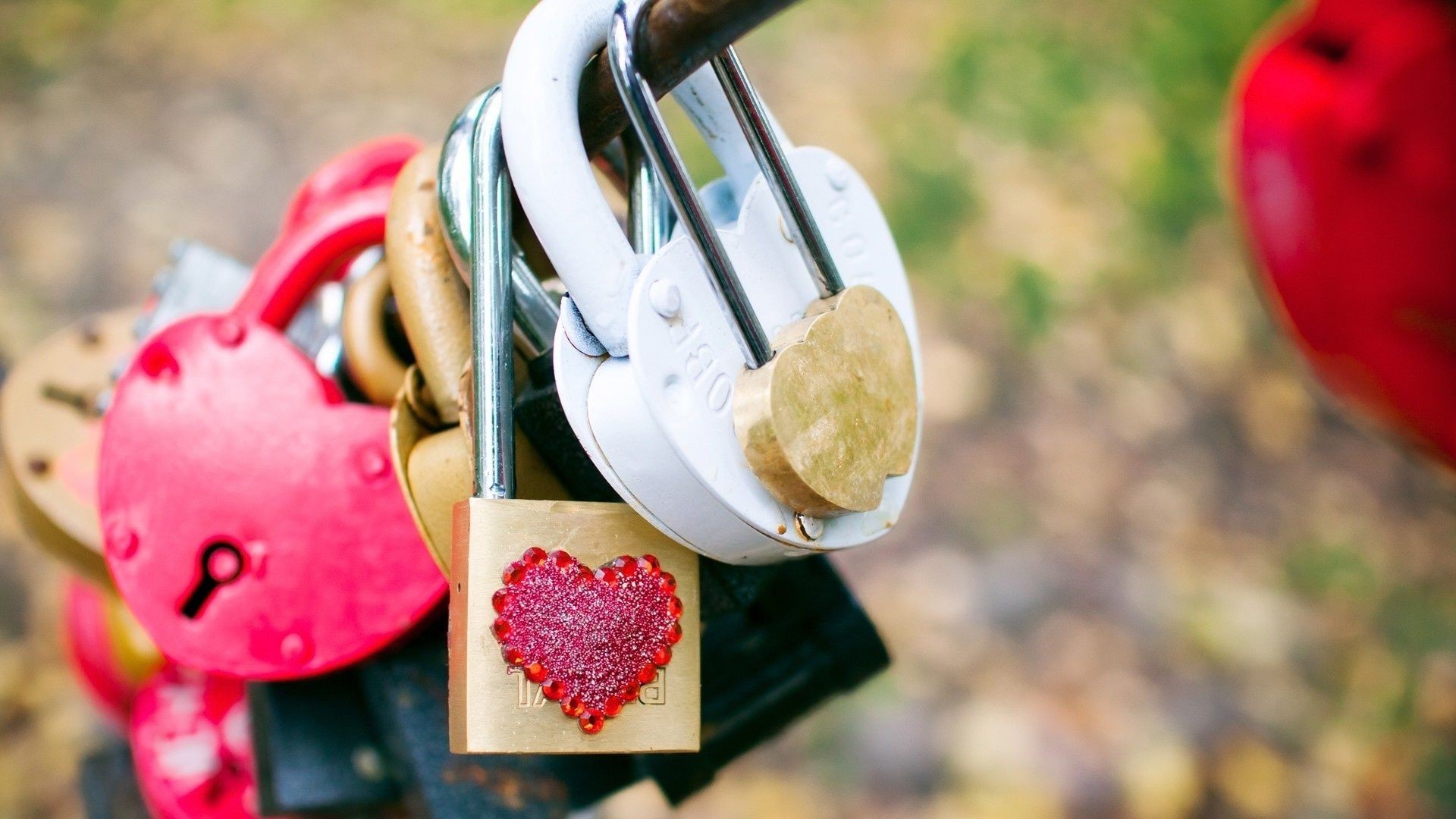 itens amor romance coração verão natureza romântico ao ar livre