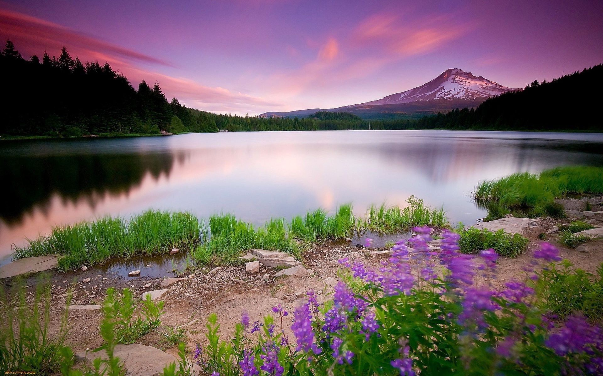 lago acqua natura all aperto paesaggio viaggi cielo tramonto alba estate fiume riflessione erba