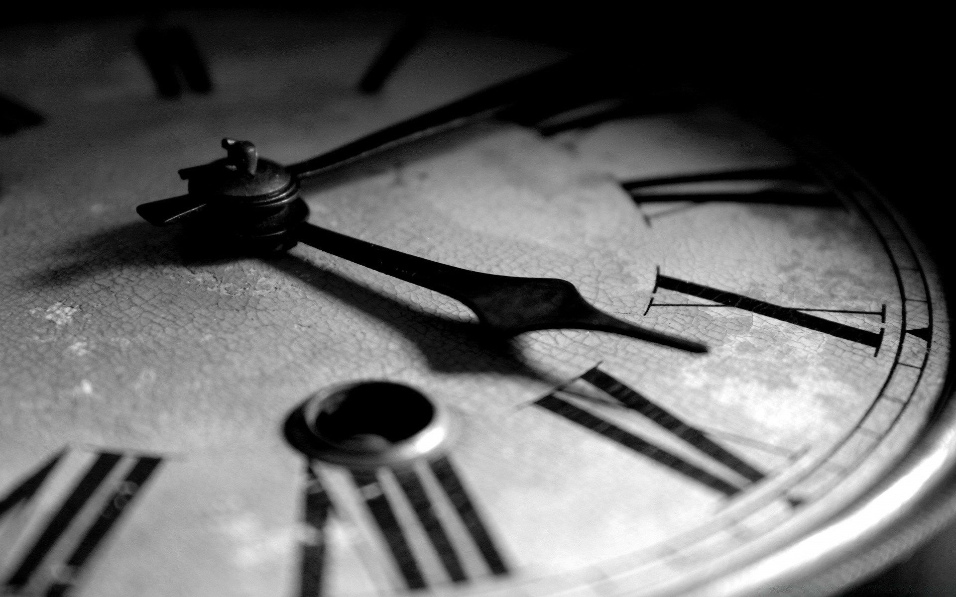 vintage reloj instrumento precisión naturaleza muerta tiempo monocromo análogo reloj