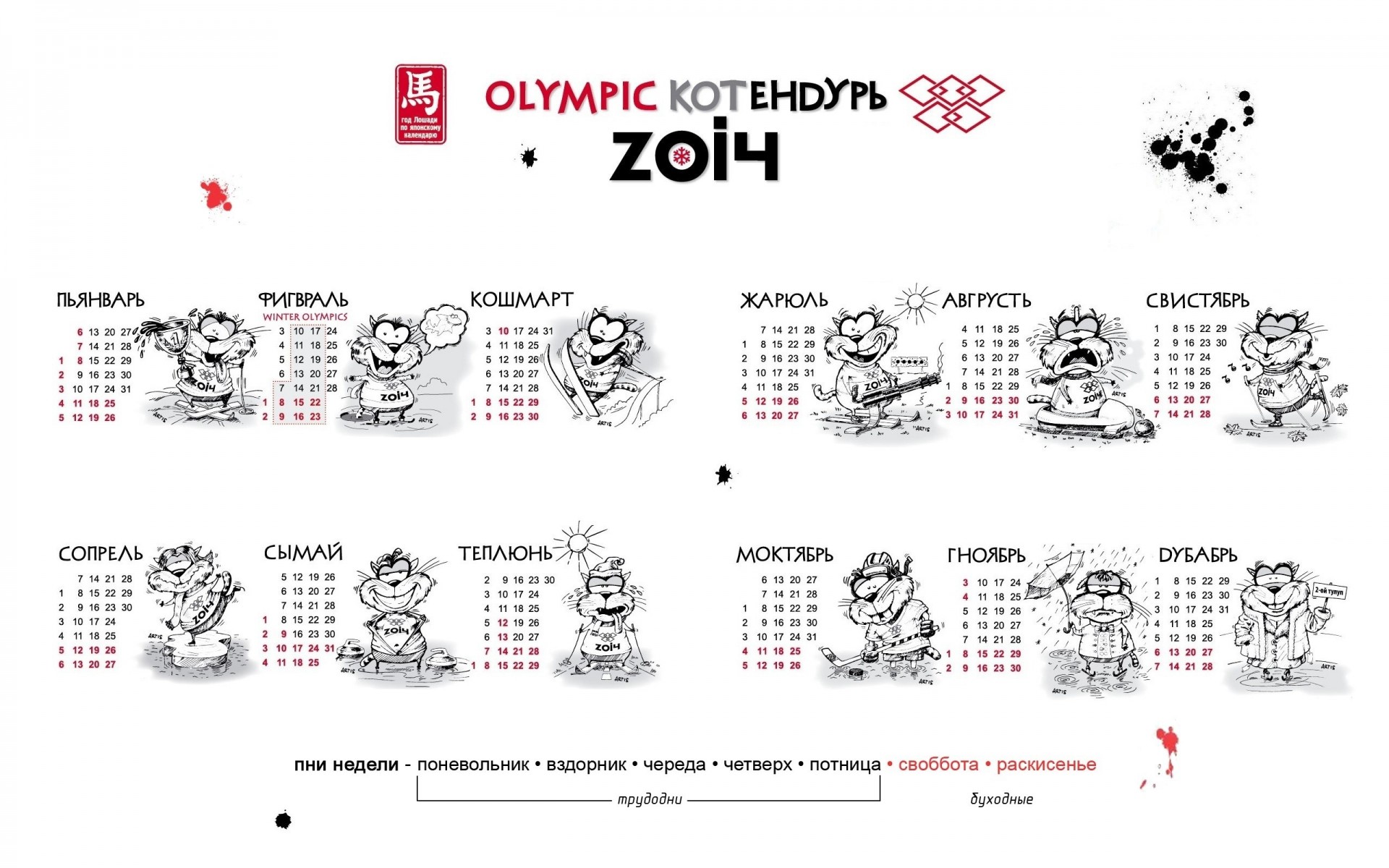 кошки котендурь 2014 олимпиада