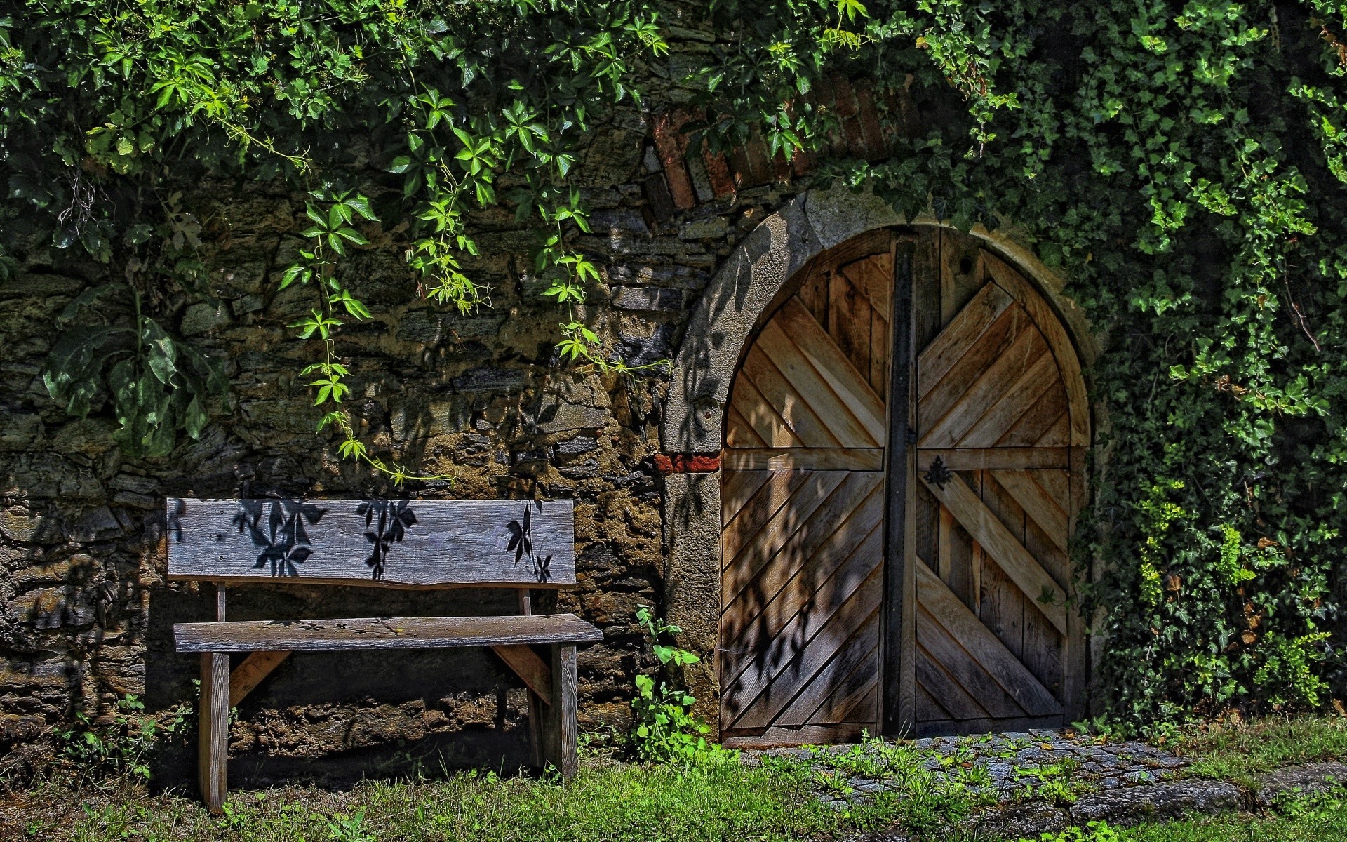 vintage wood wooden tree leaf outdoors garden nature old summer bench rustic flora grass