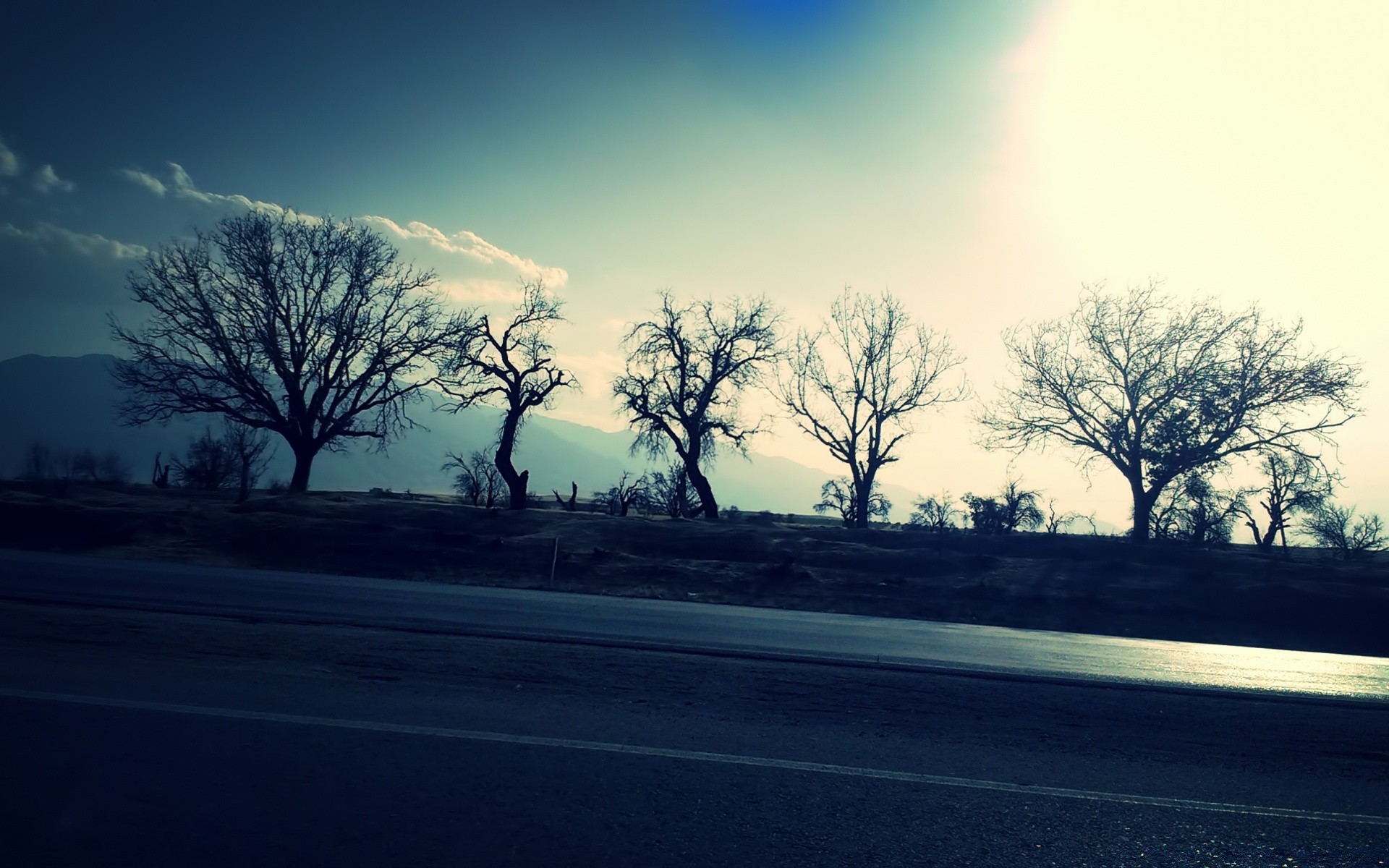 vintage albero paesaggio alba strada natura nebbia tempo luce autunno sole parco cielo legno nebbia tramonto scenico