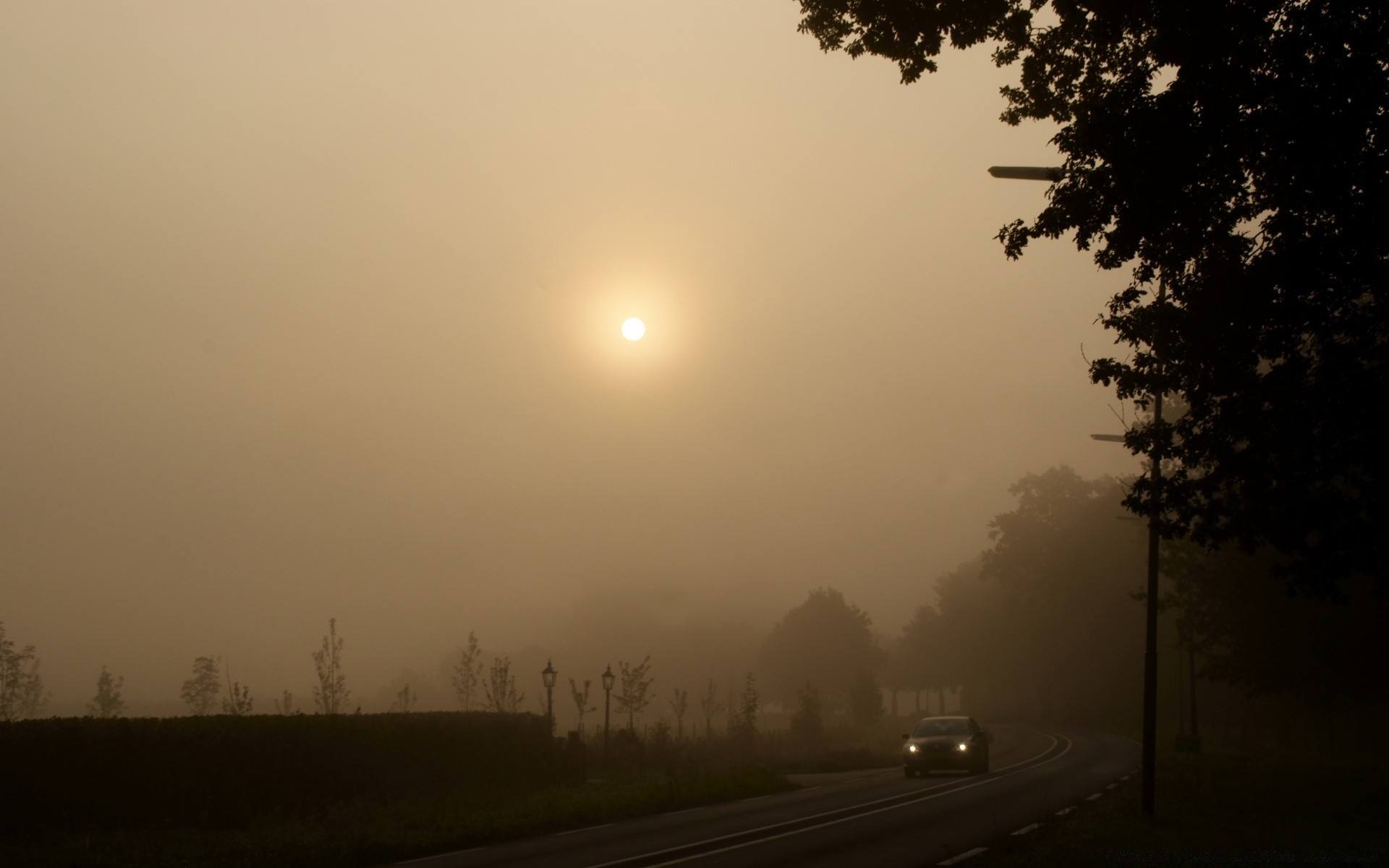 vintage fog sunset dawn mist sun silhouette landscape light evening tree sky nature dusk backlit outdoors weather road travel street