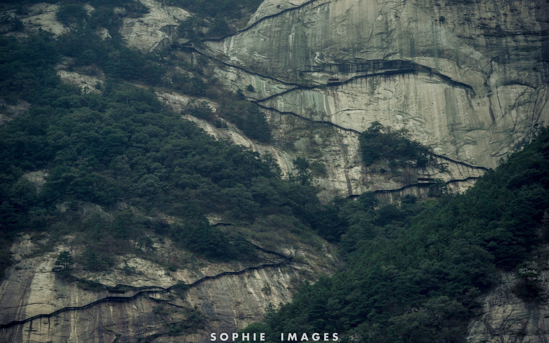 vintage paisagem árvore natureza água rio madeira montanha viajar ao ar livre céu névoa