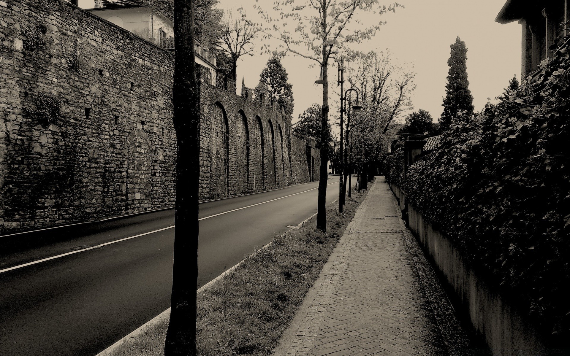 vintage rue monochrome route manuel noir et blanc voyage lumière bois système de transport