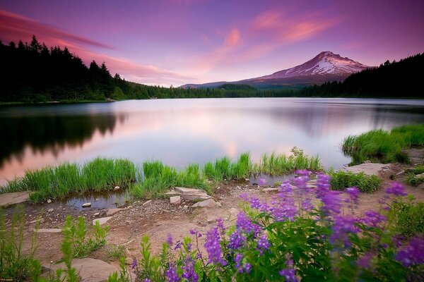 Mountain lake in the sunset rays