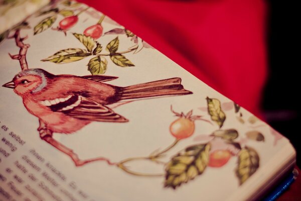 Nature morte. Oiseau sur une branche avec des fruits