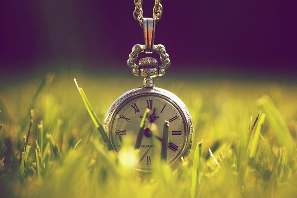 Montre de poche dans l herbe de Prairie