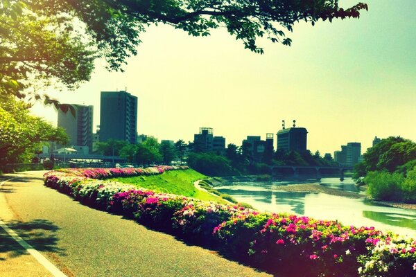 A beautiful park with flower beds and a river