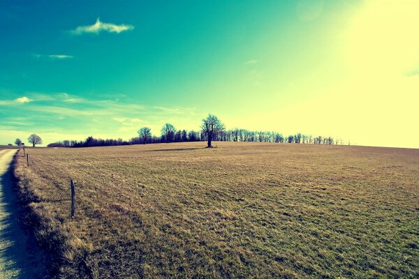 Tageslandschaft eines fernen Waldes und Feldes