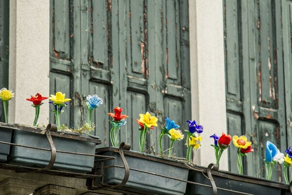 Immagine di fiori desktop sul balcone