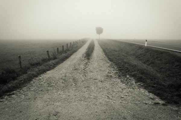 Camino de niebla. Vintage. Amanecer