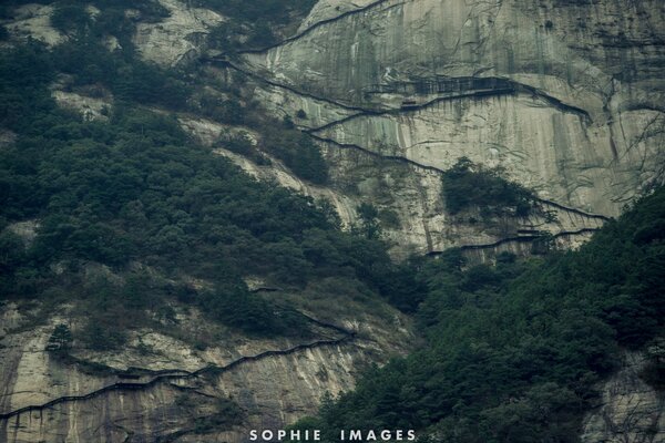 Paysage. Falaise. Eaux. Arbre