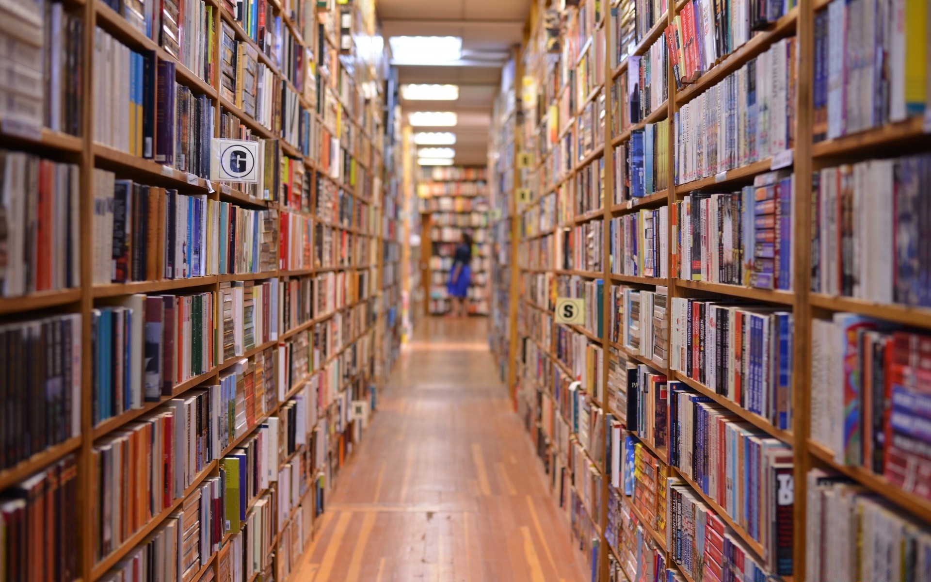 vintage prateleira biblioteca estante livraria pesquisa conhecimento educação universidade literatura ordem armazenamento estoque faculdade escola cordas