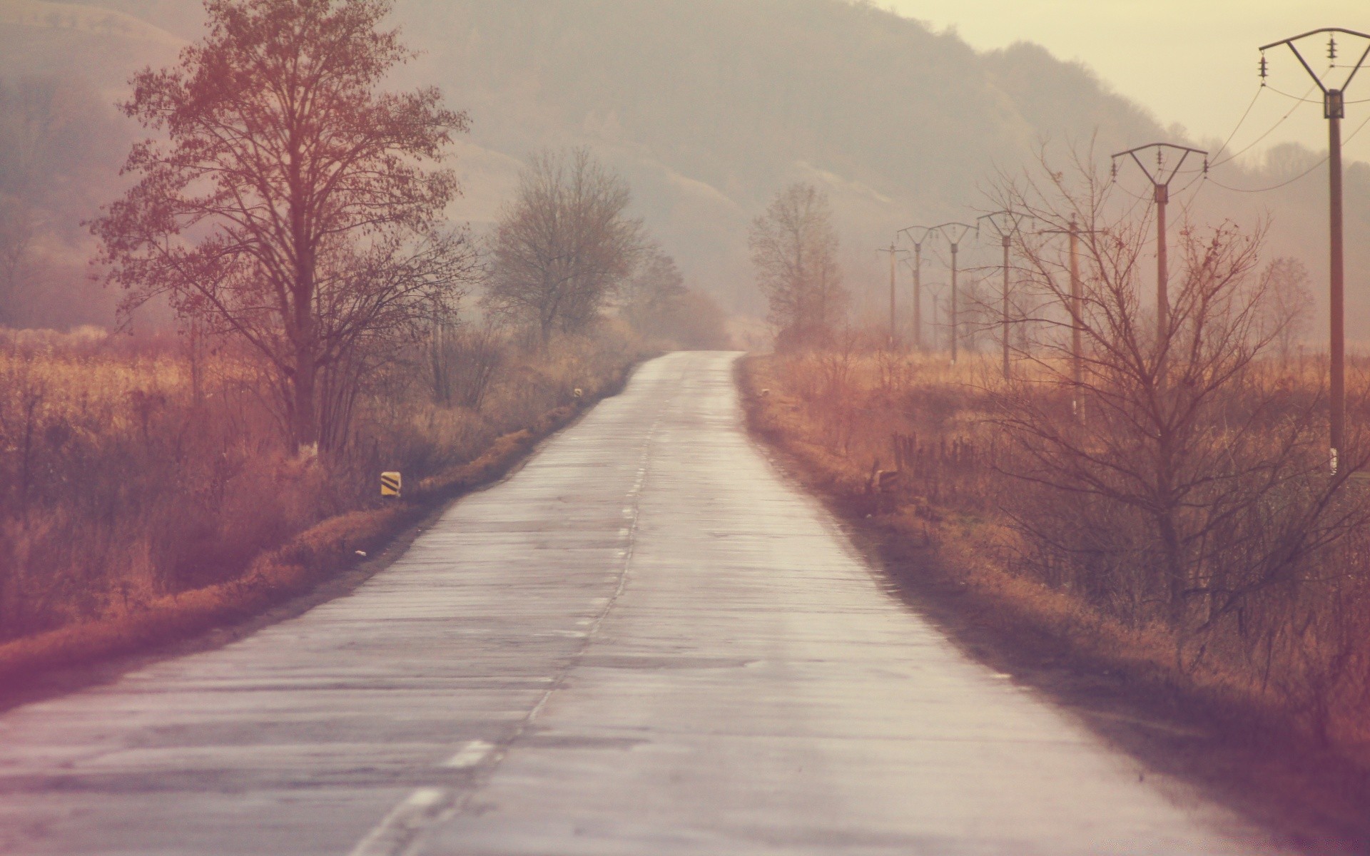 vintage paesaggio inverno albero nebbia alba tempo natura neve strada legno freddo nebbia sera tramonto all aperto scenico autunno acqua stagione