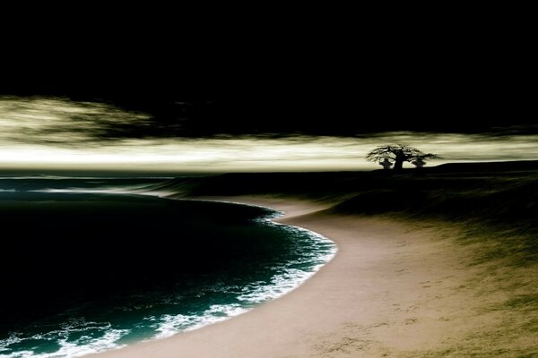 Beach, water and tree in the distance