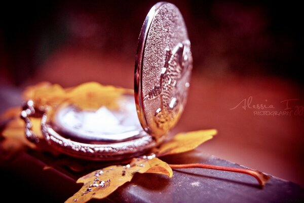 Reloj en la hoja de otoño