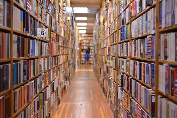 Scaffali con Libri in una grande biblioteca