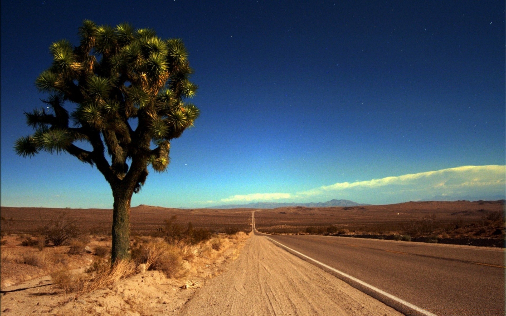 vintage deserto paisagem céu natureza viajar ao ar livre árvore pôr do sol seco sol arid estéril amanhecer solteiro