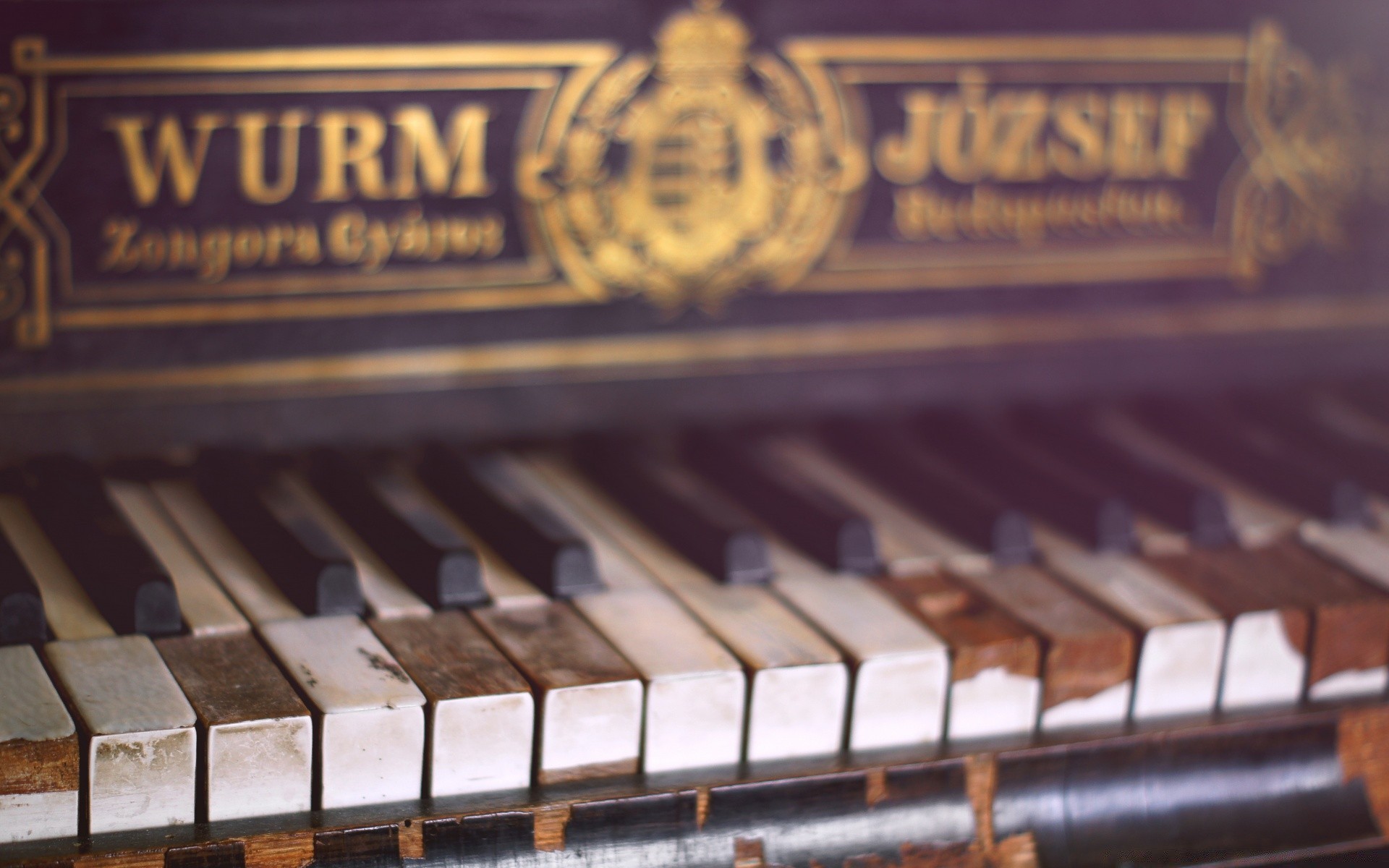 vintage piano gato música instrumento ébano teclado sonido sintetizador clásico músico concierto jazz pianista antiguo canción viejo acorde clave armonía música clásica