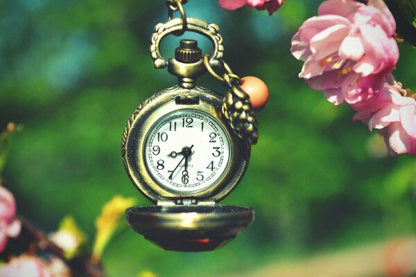 Vintage, reloj de bolsillo en el Jardín de primavera