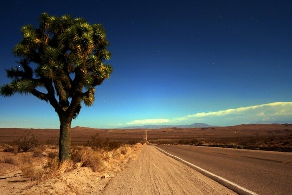 El camino que conduce a la distancia en el desierto infinito