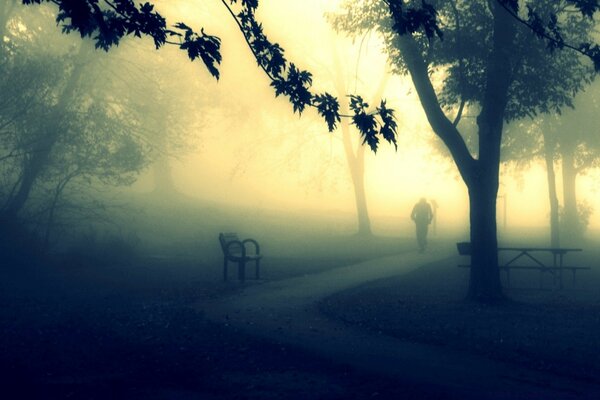 Nebbia all alba sagoma di uomini Parco