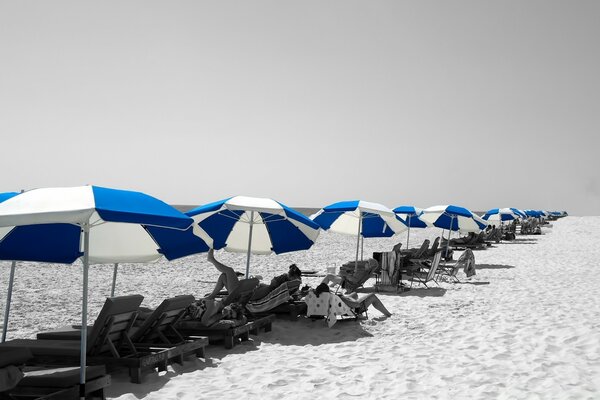 Voyage sur la plage de mer d eau et de sable