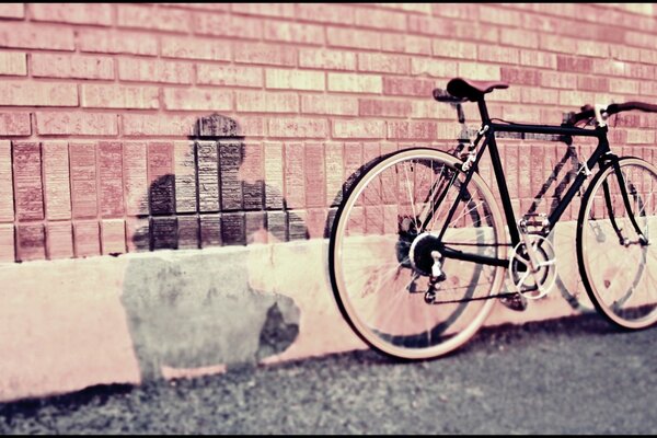 An old bicycle standing against a wall