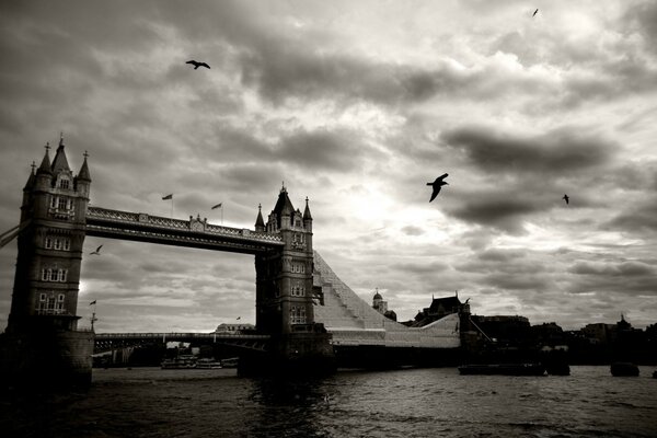 Monochrome sunset on the background of the river