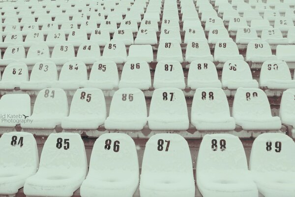 Numbered seats in the football arena