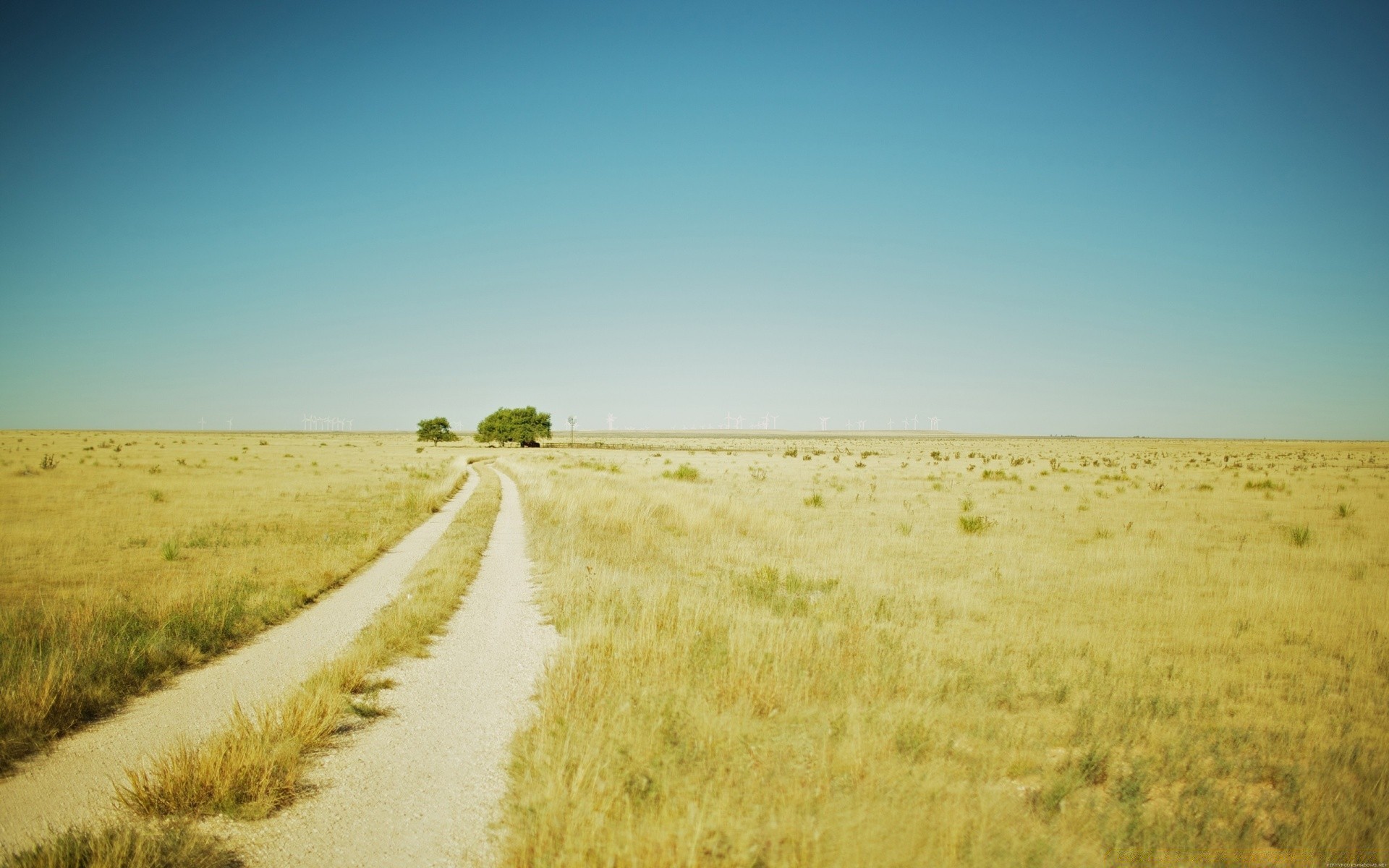 vintage landscape field sky nature rural outdoors farm grass horizon cropland agriculture country