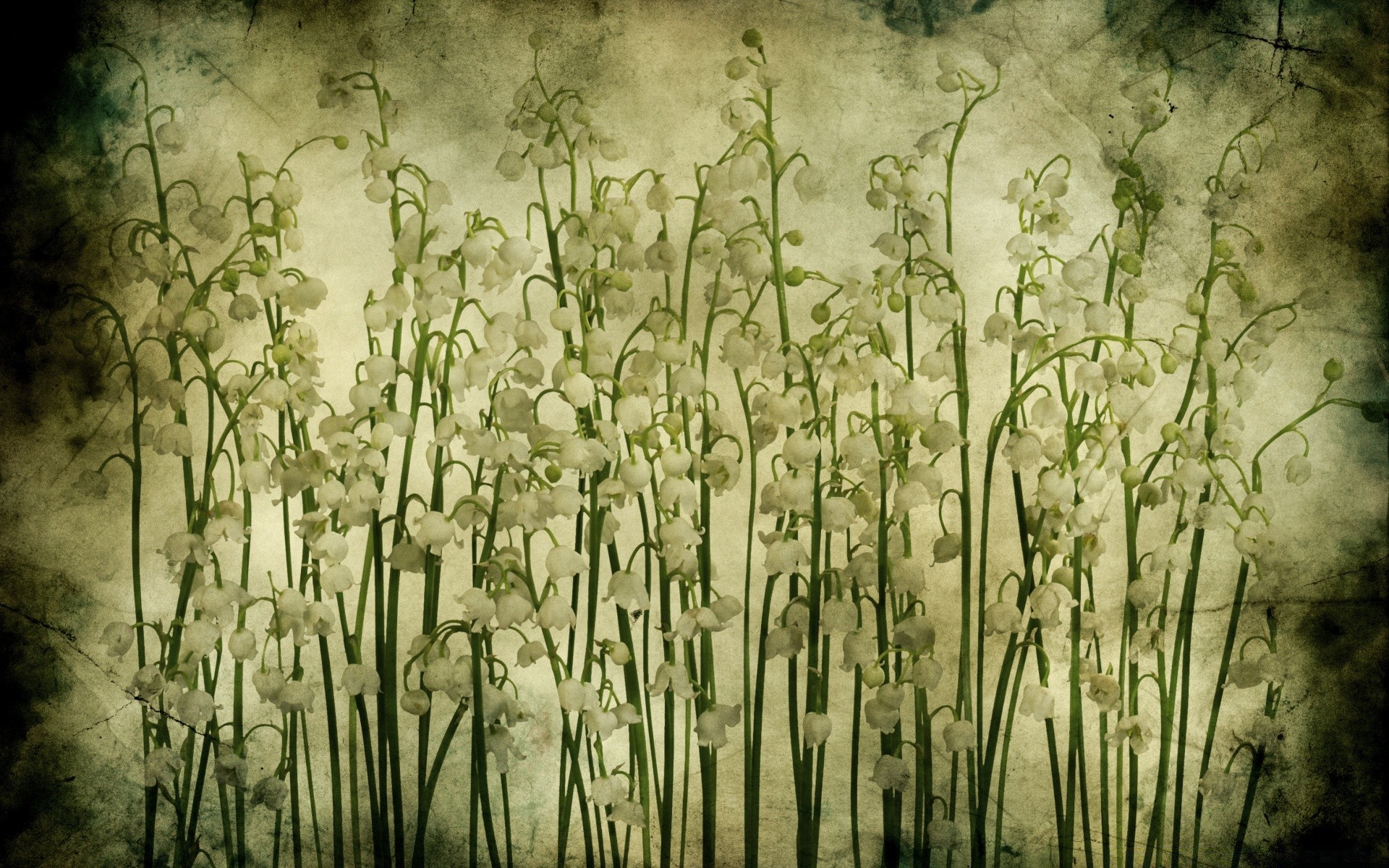 vintage retro escritorio arte flor hoja flora naturaleza
